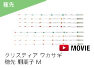 クリスティア ワカサギ穂先胴調子