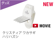 クリスティア ワカサギ ハリハズシ