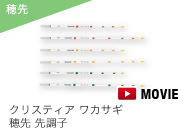 クリスティア ワカサギ 穂先 先調子